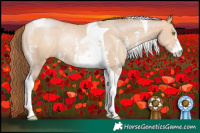 Horse Color:Brown Pearl Dun Sabino Tobiano Rabicano