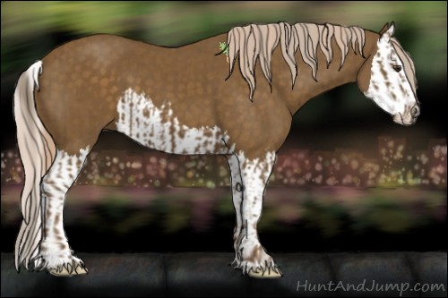 Horse Color:Chocolate Palomino  and Chocolate Palomino Splash 