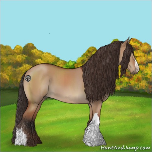 Horse Color:Bay Dun