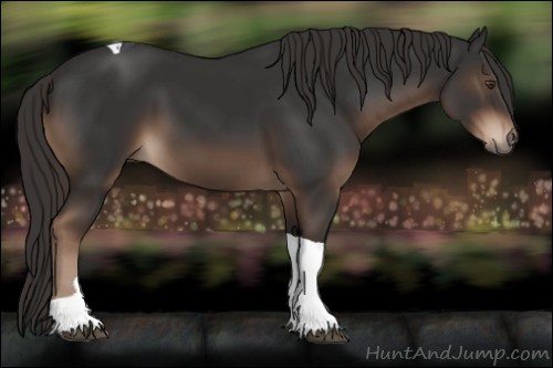 Horse Color:Liver Chestnut Tobiano 