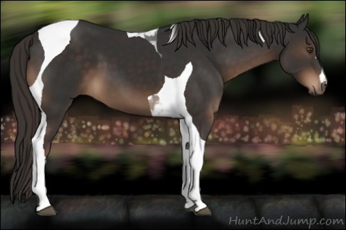 Horse Color:Liver Chestnut Tobiano 
