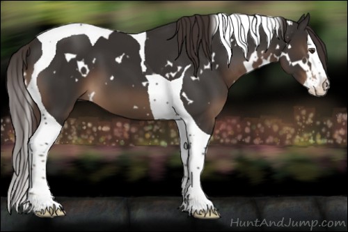 Horse Color:White Spotted Liver Chestnut Splash Tobiano