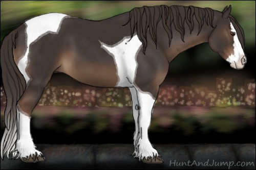 Horse Color:Liver Chestnut Splash Tobiano 