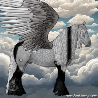 Horse Color:Void Silver Grullo Chinchilla Tobiano