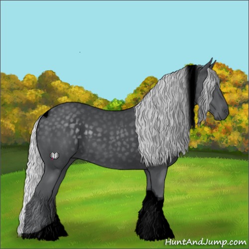 Horse Color:Void Silver Black Chinchilla Tobiano 