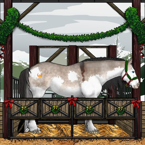 Horse Color:Brown Dun Splash