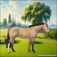 Horse Color:Bay Dun