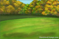 Horse Color:Gray Silver Grullo 