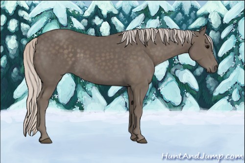 Horse Color:Silver Black 