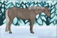 Horse Color:Silver Black 