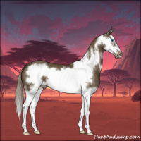 Horse Color:Chocolate Palomino Splash Frame