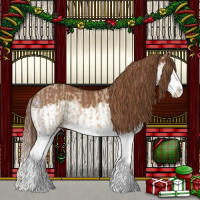 Horse Color:Red Dun Splash and Chestnut Splash