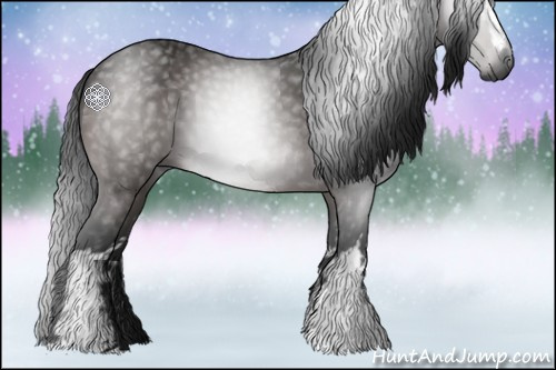Horse Color:Gray White Spotted Brown