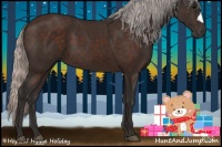 Horse Color:Silver Brown 