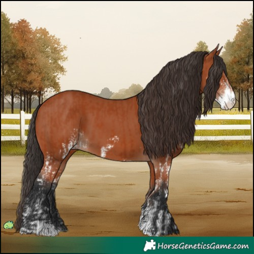 Horse Color:Bay Sabino  and Bay Sabino 