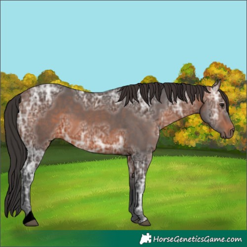 Horse Color:Void Brown Ice 