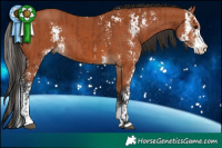 Horse Color:Bay Sabino  and Bay Sabino 