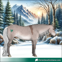 Horse Color:Platinum Silver Bay Dun 