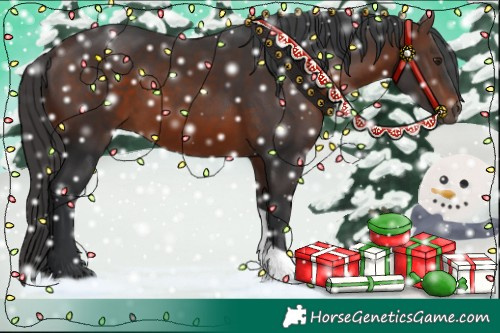 Horse Color:Brown Tobiano