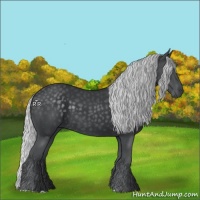 Horse Color:Silver Black Chinchilla