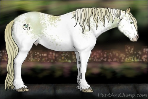 Horse Color:Watercolor White Spotted Chestnut Pearl