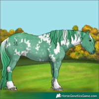 Horse Color:Watercolor White Spotted Smoky Black 