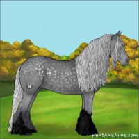 Horse Color:Void Silver Black Chinchilla Tobiano