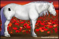 Horse Color:Watercolor White Spotted Bay 