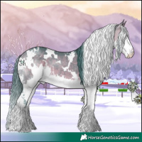 Horse Color:Watercolor White Spotted Bay Splash 