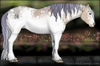 Horse Color:Watercolor White Spotted Black Ice Pearl 