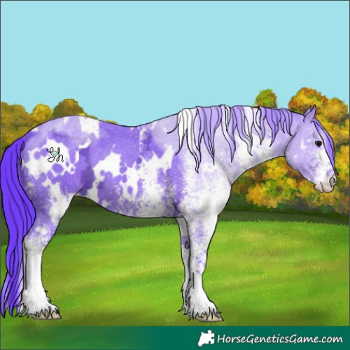 Horse Color:Watercolor White Spotted Black Ice 