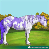 Horse Color:Watercolor White Spotted Black Ice