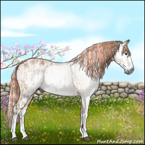 Horse Color:Gray Painted Buckskin Dun Sabino and Gray Painted White Spotted Silver Brown Sabino