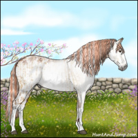Horse Color:Gray Painted Buckskin Dun Sabino  and Gray Painted White Spotted Silver Brown Sabino 