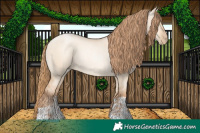 Horse Color:Gold Champagne Pearl Dun Rabicano  and Gold Champagne Pearl Dun Rabicano 