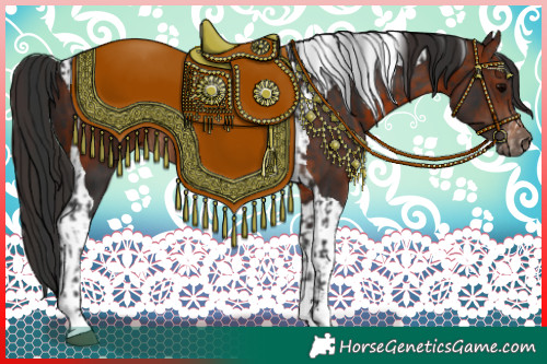 Horse Color:Brown Sabino  and Bay Tobiano 