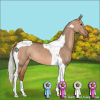 Horse Color:Silver Brown Dun Tobiano 
