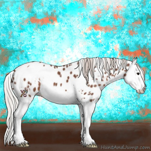 Horse Color:White Spotted Silver Black Splash Appaloosa 