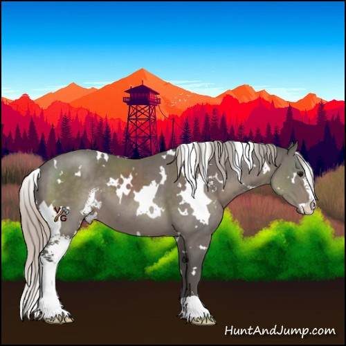 Horse Color:White Spotted Silver Black Sabino 