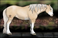 Horse Color:Silver Smoky Black Pearl Sabino 