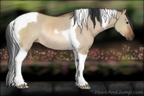 Horse Color:Bay Dun Tobiano Rabicano