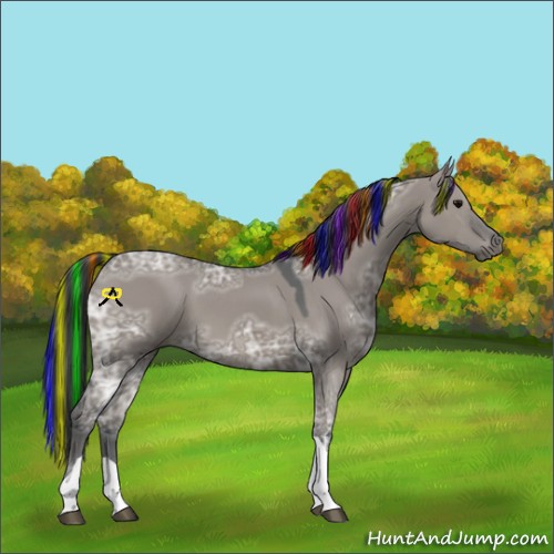 Horse Color:Painted Grullo Ice Tobiano 