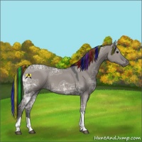 Horse Color:Painted Grullo Ice Tobiano 