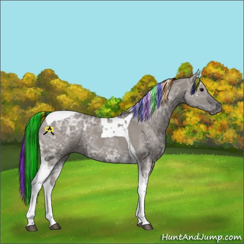 Horse Color:Painted Grullo Ice Tobiano 
