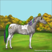 Horse Color:Painted Grullo Ice Tobiano 