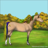 Horse Color:Painted Bay Dun Sabino 
