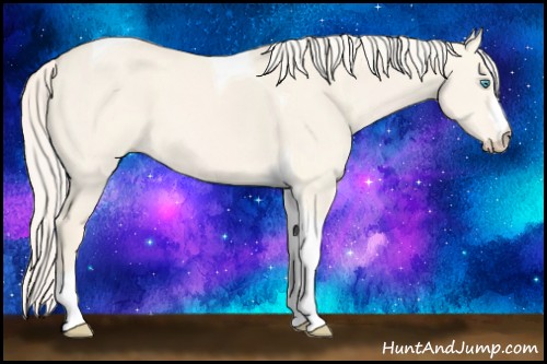 Horse Color:Cremello Dun Tobiano 