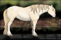 Horse Color:Buckskin Pearl Mushroom 