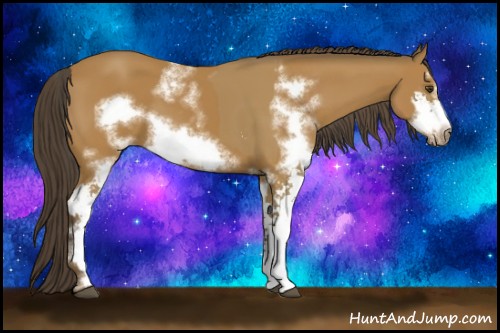 Horse Color:Buckskin Sabino  and Buckskin Sabino Frame 