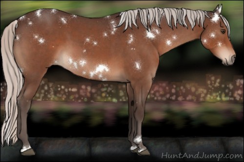 Horse Color:White Spotted Silver Brown Roan